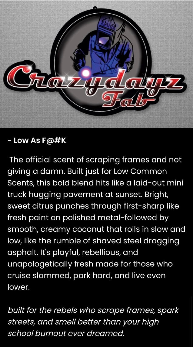Crazydayz Fab Air Freshener