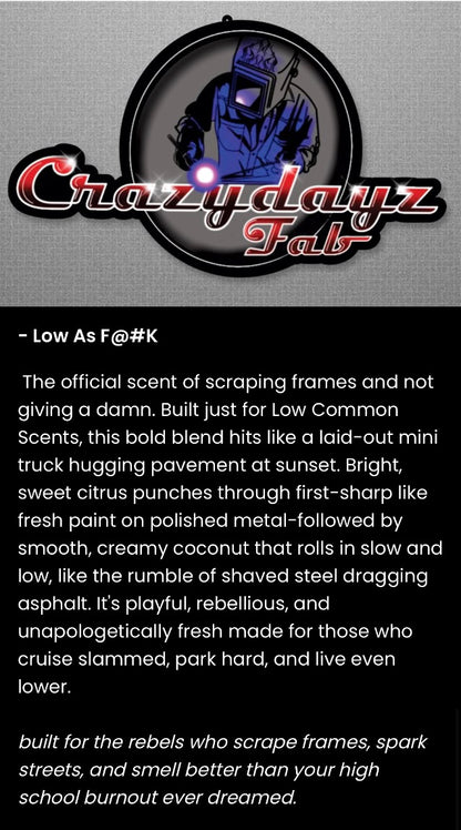 Crazydayz Fab Air Freshener